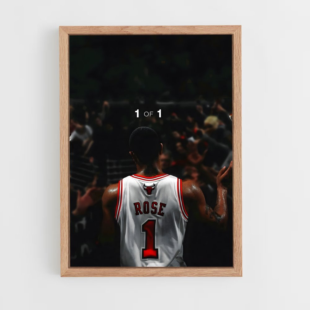 Poster L'Esprit des Bulls – affiche Basketball (vue 4)